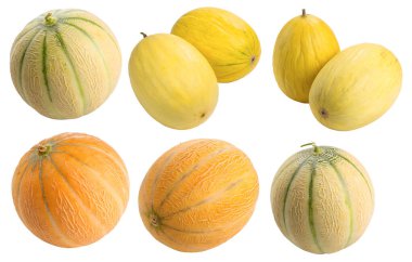Beyaz arka planda izole edilmiş olgun sarı kavunlar. Lezzetli ve sağlıklı yemek kavramı..