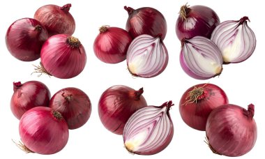 Beyaz arka planda izole edilmiş farklı kırmızı soğan koleksiyonu. Ana hatlarıyla sağlıklı sebze kavramı.