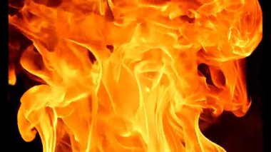 Parlak alevler büyüleyici bir dansla kıvrılır ve döner. Ilık parıltılarıyla karanlığı aydınlatır. Hareket ve renk dikkat çeken büyüleyici bir atmosfer yaratır..