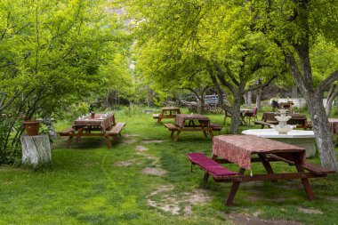 Sakin bir açık hava yemek alanında canlı yeşil ağaçların altında kırmızı bezli ahşap piknik masaları bulunur. Huzurlu alan rahatlama ve sosyal toplantıları davet ediyor, doğal bir kaçış sunuyor..