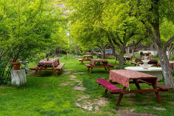 Sakin bir açık hava yemek alanında canlı yeşil ağaçların altında kırmızı bezli ahşap piknik masaları bulunur. Huzurlu alan rahatlama ve sosyal toplantıları davet ediyor, doğal bir kaçış sunuyor..