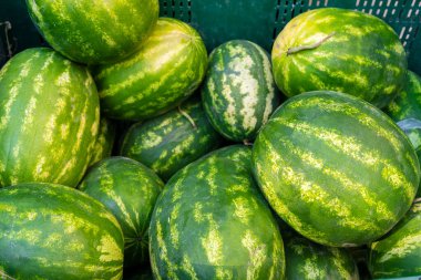 Bir markette yeşil bir sepete düzgünce yığılmış çeşitli karpuzlar var. Canlı yeşil çizgileri yaz meyvelerinin tazeliğini ve bolluğunu vurguluyor..