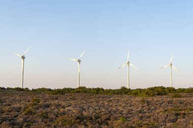 Berrak bir gökyüzü altında seyrek bitki örtüsü bulunan sakin bir kırsal alanda, sürdürülebilir enerji girişimlerini ve teknolojik gelişmeleri sembolize eden dört rüzgar türbini duruyor..