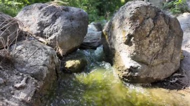 Huzurlu bir ormanda kayaların arasından akan yumuşak suyun rahatlatıcı bir atmosfer yaratışını izleyin. Güneş ışığı suyun yüzeyinde dans eder, dingin çevreyi güçlendirir..
