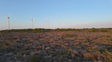 Rüzgarlar, arka planda güneş batarken rüzgâr türbinleriyle benekli bir tarlada uğulduyor. Manzara doğal elementlerle modern teknolojinin bir karışımını bir arada gösteriyor..