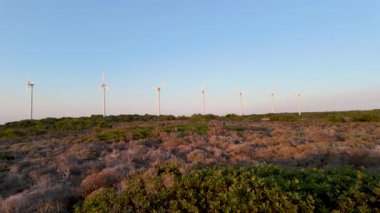 Rüzgar türbinleri gün batımında kıyı ortamında zarifçe döner. Manzara kuru bitki örtüsü ve açık mavi gökyüzü zeminiyle dolu..