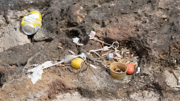 Kertenkele çöpte ve Rock Hollow 'da konserve ve sigarayla yiyecek arıyor.