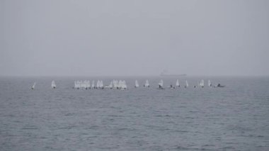 Küçük iyimser bir yelkenli filosu bulutlu bir gökyüzünün altında sakin denizde süzülüyor..