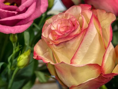 Gül başlıklı parlak çiçek buketi aranjmanı, kırmızı kenarlı sarı taç yaprak, satış vitrini, kapat