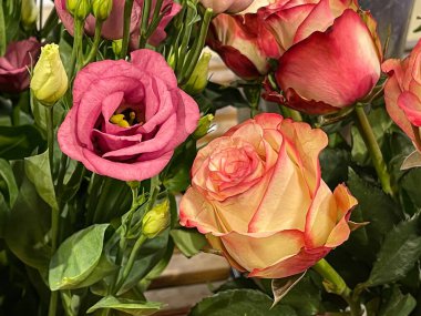 Gül başlıklı parlak çiçek buketi düzenleme, kırmızı kenarlı sarı taç yapraklı, satış vitrini