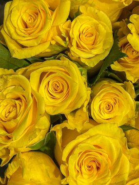 Parlak sarı bahar gülleri aranjmanı, satış vitrinleri. Üst aşağı, tam kare, dikey çekim