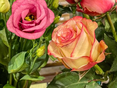Gül başlıklı parlak çiçek buketi aranjmanı, kırmızı kenarlı sarı taç yapraklı, anneler günü, satış vitrinleri.