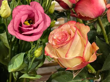 Gül başlıklı parlak çiçek buketi düzenleme, kırmızı kenarlı sarı taç yapraklı, satış vitrini