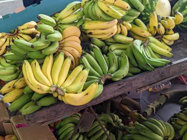 Banos de agua Santa, Ekvador 'da tropikal meyveler