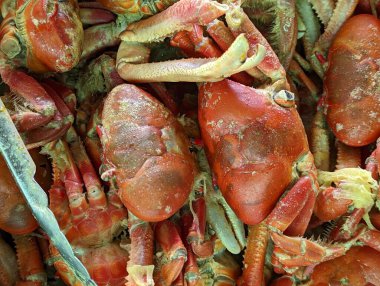 Tipik haşlanmış yengeç yemeği.