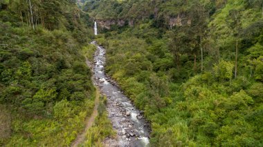 Ekvador And Dağları 'ndaki yemyeşil ve yemyeşil bitki örtüsüyle çevrili harika şelaleler bir insansız hava aracıyla havadan görüldü.