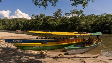 Amazon ormanından geçerek Ekvador 'daki yerli bir kabileye giden nehir kanoları.