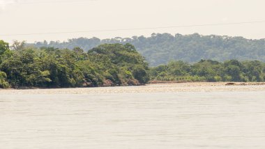 Amazon ormanından geçerek Ekvador 'daki yerli bir kabileye giden nehir kanoları.