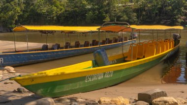 Amazon ormanından geçerek Ekvador 'daki yerli bir kabileye giden nehir kanoları.