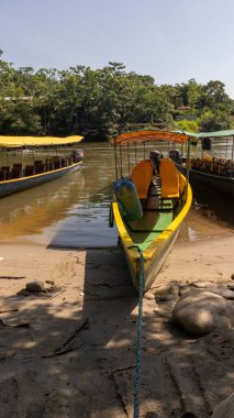 Amazon ormanından geçerek Ekvador 'daki yerli bir kabileye giden nehir kanoları.