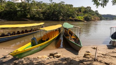 Amazon ormanından geçerek Ekvador 'daki yerli bir kabileye giden nehir kanoları.