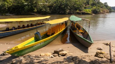 Amazon ormanından geçerek Ekvador 'daki yerli bir kabileye giden nehir kanoları.