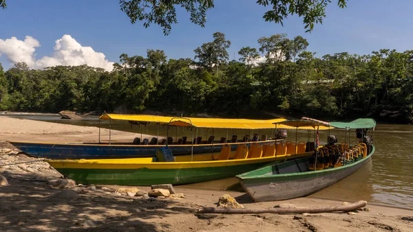 River canoes to go through the Amazon jungle to an indigenous tribe in Ecuador