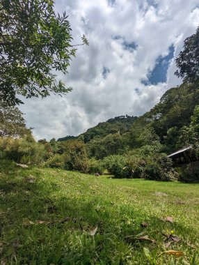 Ekvador And Dağları 'ndaki muhteşem doğal güzelliğin dikey görüntüsü. Bitki ve su dolu.