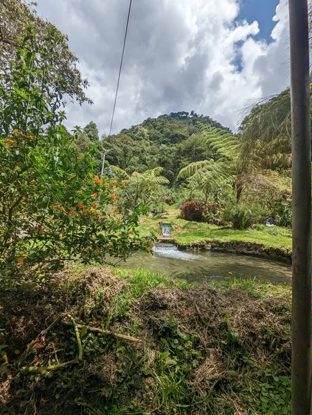 Ekvador And Dağları 'nda bitki ve su dolu, inanılmaz güzellikte harika doğal bir manzara.