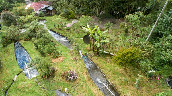 drone footage of trout spot and camping in the middle of Ecuadorian mountains