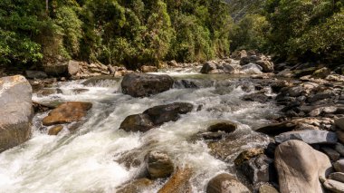 image of a river with plenty of water, large rocks and vegetation