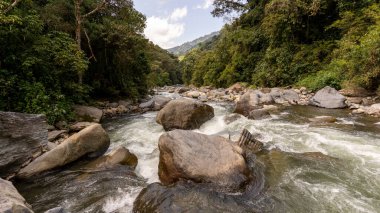 image of a river with plenty of water, large rocks and vegetation
