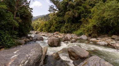 image of a river with plenty of water, large rocks and vegetation