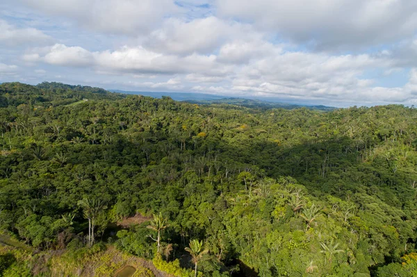 Amazon jungle landscape from eastern Ecuador from drone view