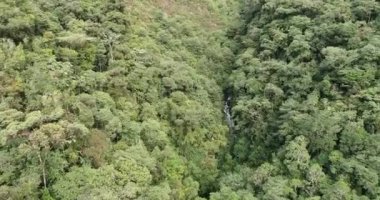 And Dağları 'ndaki Ekvador doğası üzerinde İHA uçuşu. İHA uçuşu yemyeşil bitki örtüsü ve nehir üzerinde