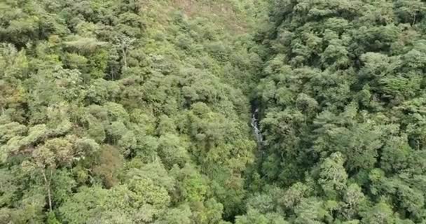 Lot Dronem Nad Przyrodą Ekuadoriańską Andach Lot Dronem Nad Bujną — Wideo stockowe