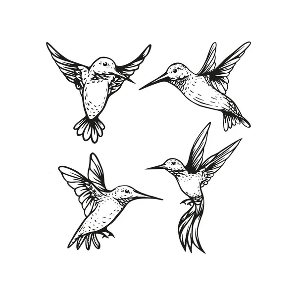 Hummingbird Vetor Voador Esboço Mão Desenhada Ilustração Coleção — Vetor de Stock