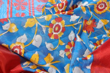 Geleneksel Kadın El Yapımı Sari Beyaz Arkaplanda İzole Edildi