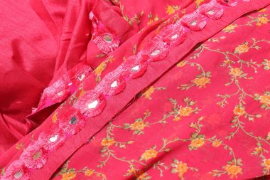 Geleneksel Kadın El Yapımı Sari Beyaz Arkaplanda İzole Edildi