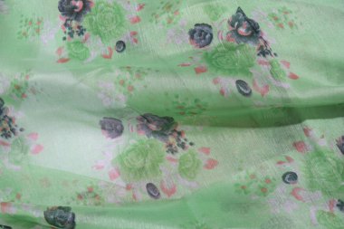 Geleneksel Kadın El Yapımı Sari Beyaz Arkaplanda İzole Edildi