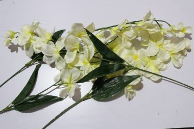 Beyaz Arkaplanda İzole Edilmiş Ev Dekorasyonu için Renkli Orkideler Yapay Çiçekler