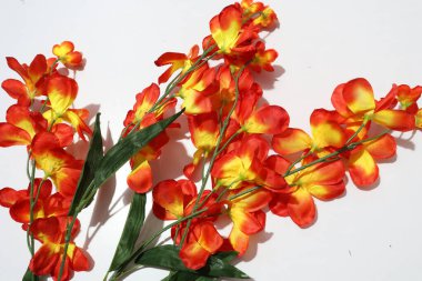 Beyaz Arkaplanda İzole Edilmiş Ev Dekorasyonu için Renkli Orkideler Yapay Çiçekler