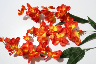 Beyaz Arkaplanda İzole Edilmiş Ev Dekorasyonu için Renkli Orkideler Yapay Çiçekler