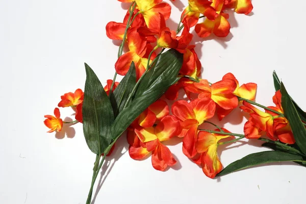 Fiori Artificiali Variopinti Dei Orchids Decorazione Domestica Isolata Sfondo Bianco — Foto Stock