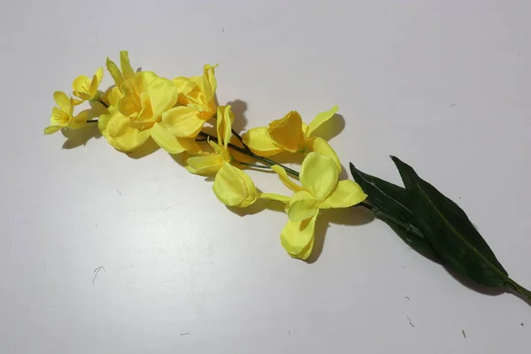Flores Artificiales Coloridas Las Orquídeas Para Decoración Casera Aislada Fondo — Foto de Stock