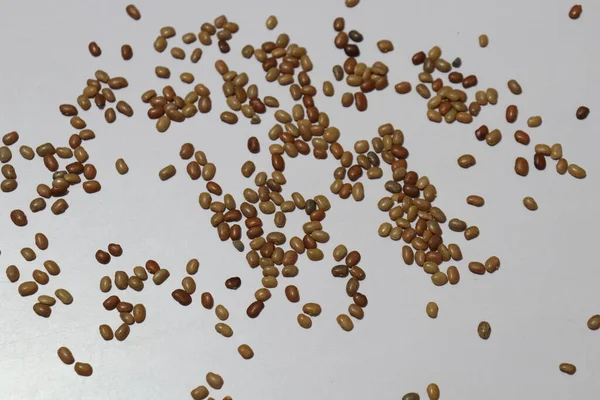 Семена Боббарлу Белом Фоне — стоковое фото