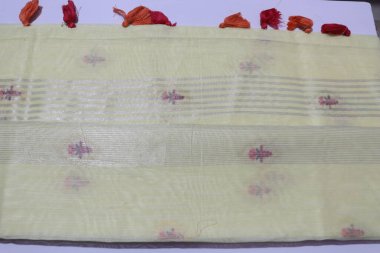 Geleneksel El Yapımı Sari, Yakın Çekim Görünümü              