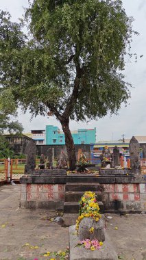 Antik Shree Thillai Natarajar Tapınağı, Chidambaram      