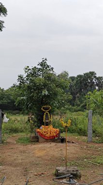 Hindistan, Tamil Nadu 'daki park manzarası