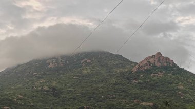 Hindistan 'daki sisli dağların güzel manzarası 